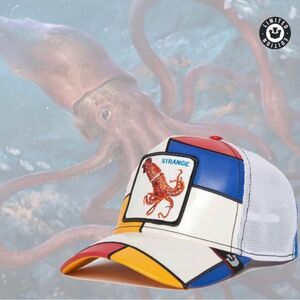 Goorin Bros.- “Strange”‎ Limited Circulation OS NWT